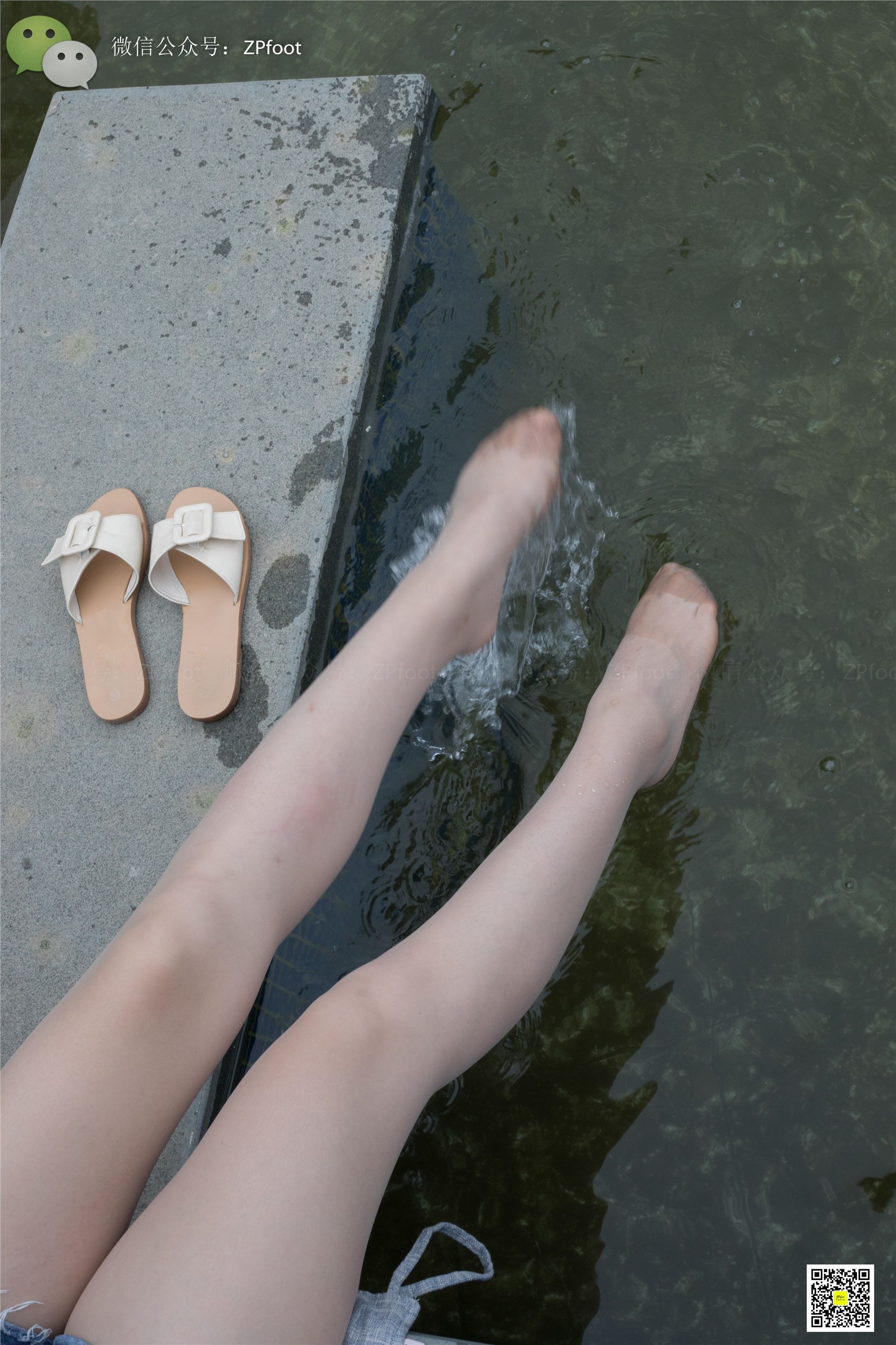 LSS山茶摄影 NO.012 大一艺术系肉丝